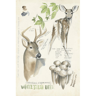 Wildlife Journals IV - Wrapped Canvas Print