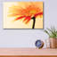 Epic Art «Orange Flower On Orange» par Tom Quarterm «Orange Flower On Orange» par Tom Quartermaine