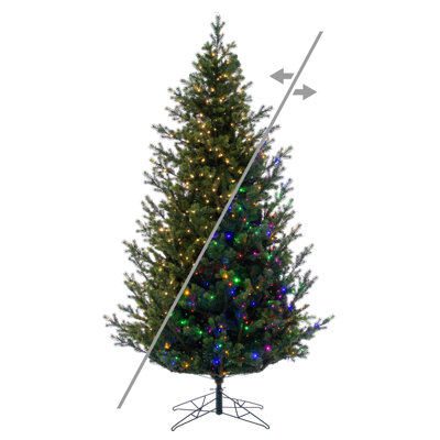 10' x 73" Eagle Fraser 3mm 1900CC