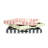 Rose Stripe Tray -Wayfair-1691577414