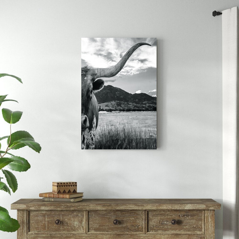 «Black and White Longhorn Cow» - Photographie sur toile tendue, H 36 po x l 24 po, Toile avec cadre érable, Non