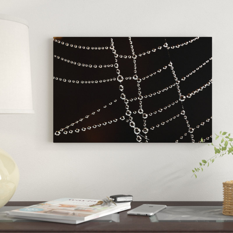 «Toile d'araignée avec perles de rosée, France», impression sur toile, H 8 po x l 12 po x P 0,75 po, Toile tendue