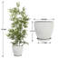 Pots ronds en bambou artificiel et résine avec plateau-561435177-559826402