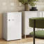 HOMCOM 85L Freestanding Under Counter Fridge with Chiller Box-1978358746