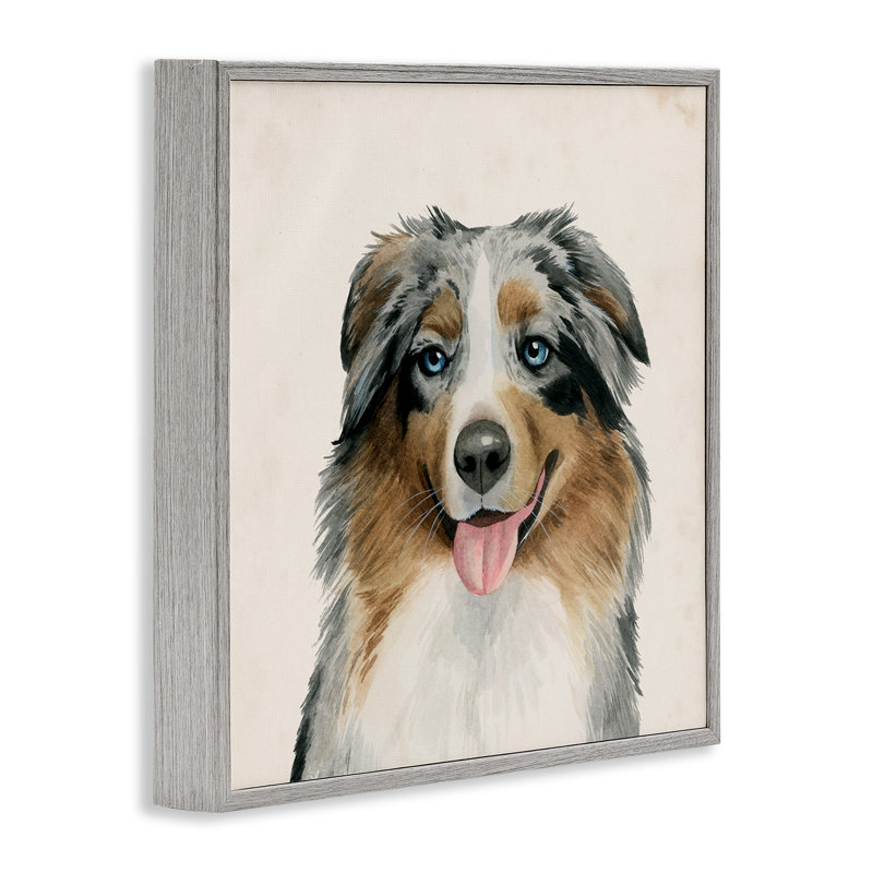 Charmant chien de berger australien, estampe numérique par Grace Popp, Estampe numérique Farmhouse, H 17 po x l 17 po