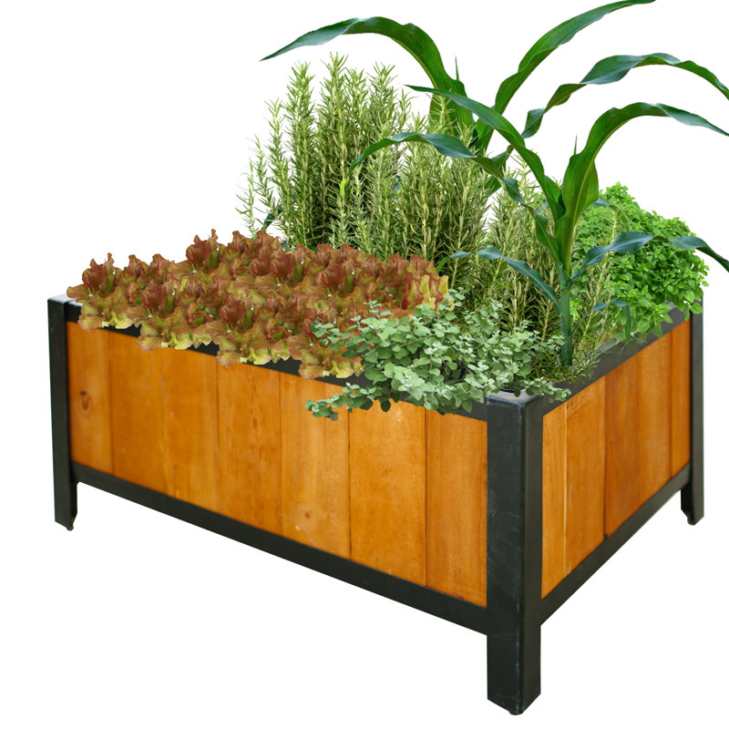 Madicyn Raised Garden Bed, Brown