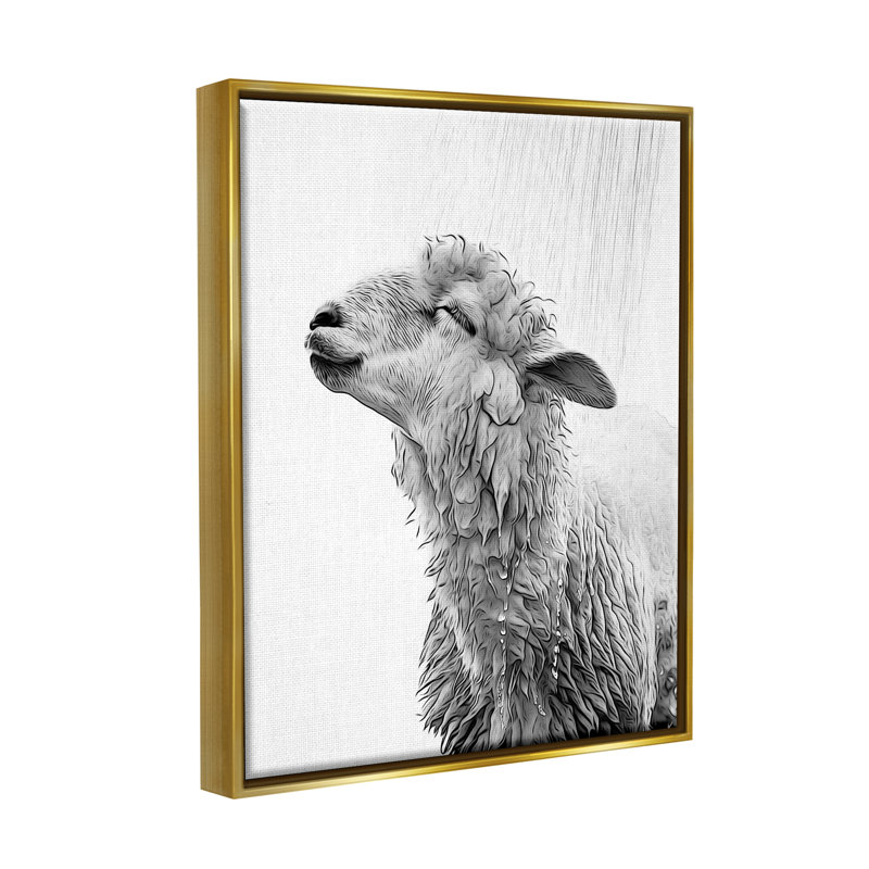 Mouton pour salle de bain, H 21 po x l 17 po x P 1,7 po, Cadre flottant métallique doré