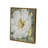 Botanical Wall Art Prints Set Of 4