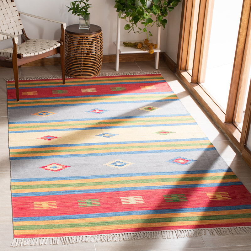 Barhorst Hand Woven Cotton Southwestern Rug, Rectangle 4' x 6'