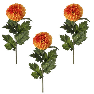 Dahlia Stem