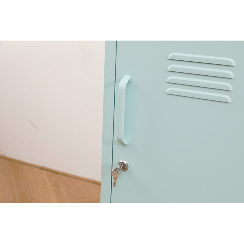 Une armoire de rangement en métal multifonctionnelle, Sage