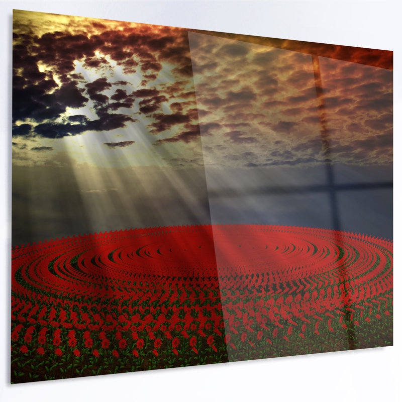 «Beautiful Circled Flower Fields», impression, H 23 po x l 23 po x P 1 po, Métal