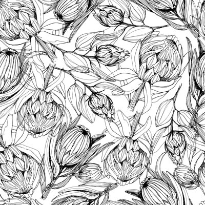 Papier peint noir et blanc Protea