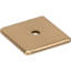Radcliffe Knob Backplate-413223056