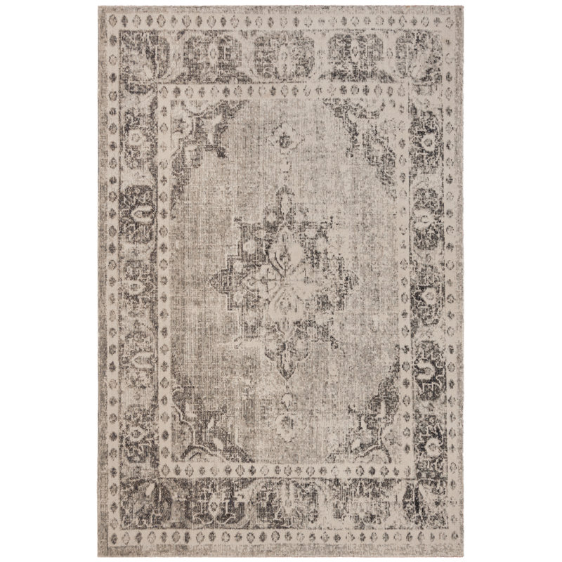 Holcomb Oriental Area Rug, Rectangle 91 x 152 cm