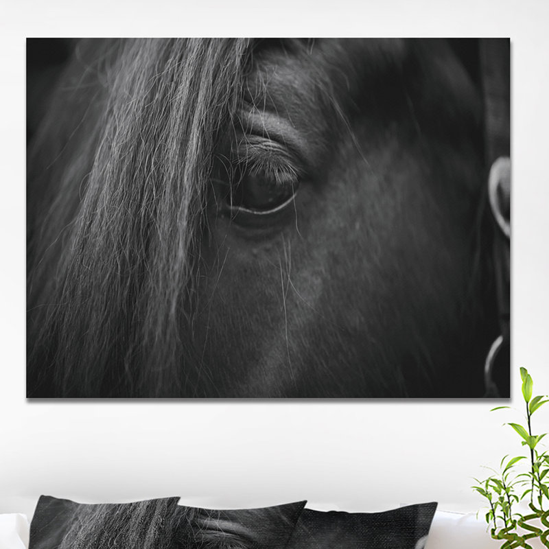 Œil d'un cheval - reproduction de photo sur toile tendue, H 30 po x l 40 po x P 1,5 po