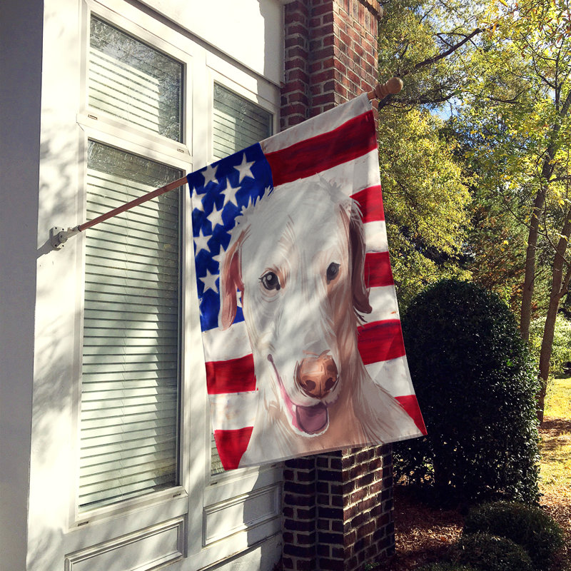 Polyester à 2 côtés 28 x 40 po drapeau maison, Chien poligar de Rajapalayam