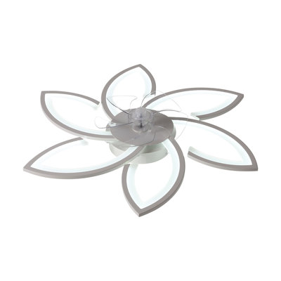 Ceiling Fan
