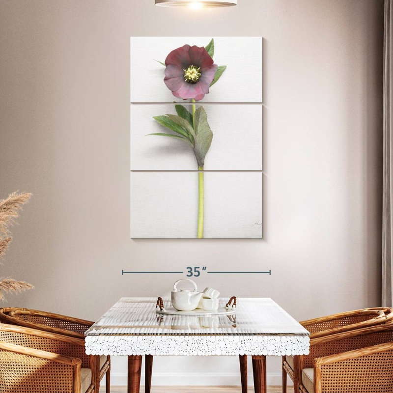 Harnek Hellebore Study II, H 23 po x l 14 po