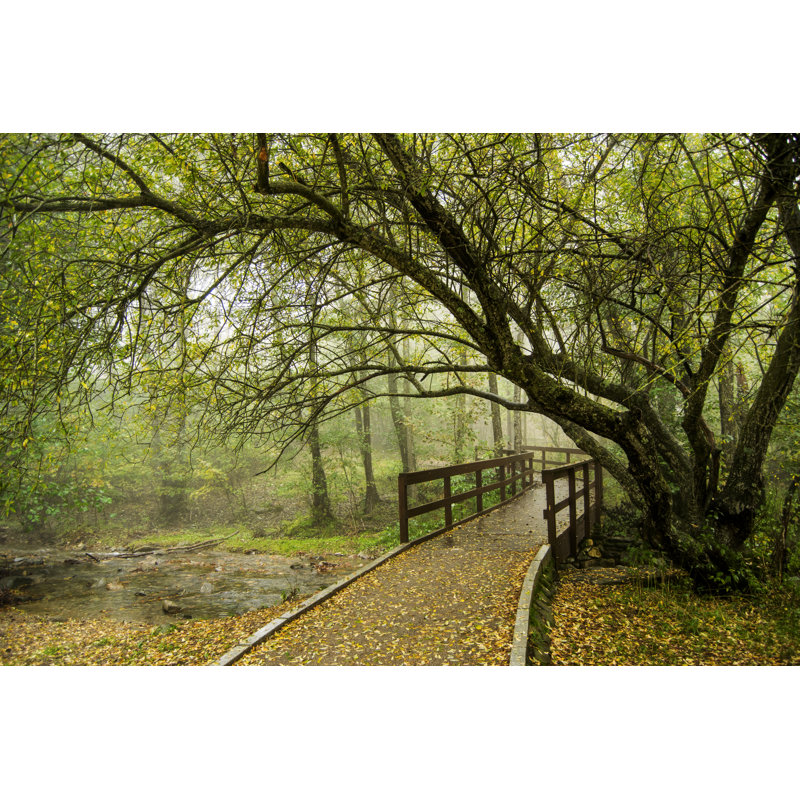 Natural Park Of Montseny by GeoJGomez - Wrapped Canvas Print, 30cm H x 46cm W