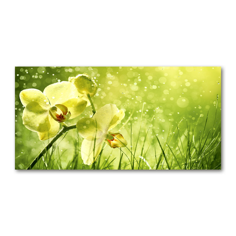 Orchid - Wrapped Canvas Print, Canvas, 70cm H x 140cm W