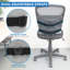 Lumbar Back Support