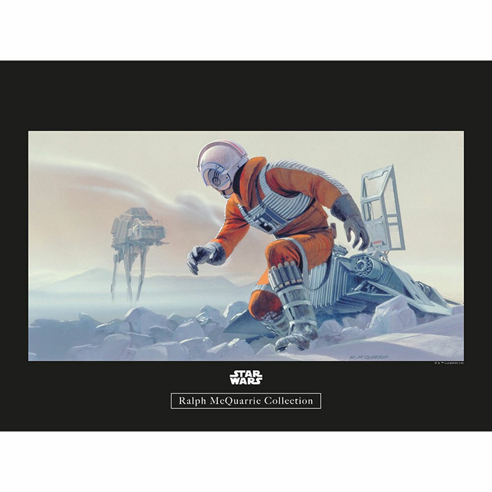 Poster Star Wars Rmq Hoth Schlacht Pilot