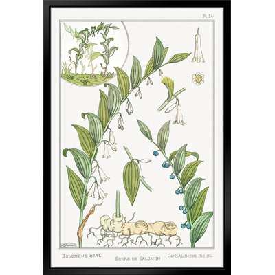 " Sceau De Salomon (Solomon's Seal) II By Maurice Pillard Verneuil "