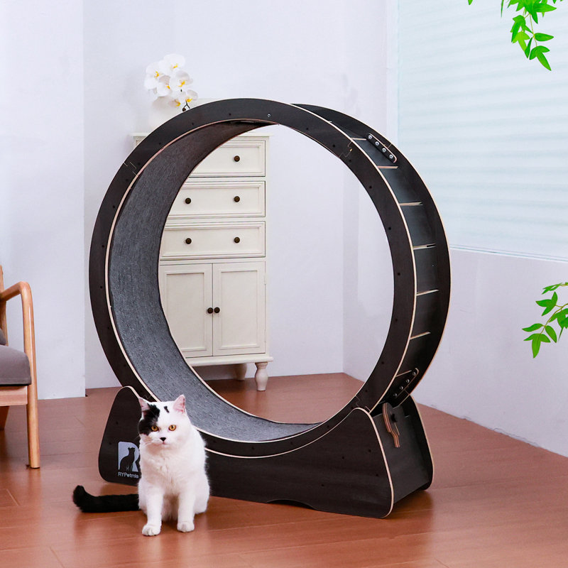 Cat Exercise Wheel With Interactive Toy For Indoor Cats With Replaceable Runway And Safety Lock, Black