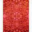 Tapis de couloir rose 3 pi 1 po x 12 pi 9 po Clouser