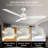 Emidia 52'' Standard Ceiling Fan with LED Lights White-144309680-147317770