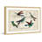 "Hummingbirds" Framed Print-18829404