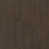 Cocoa Bean/Chalk