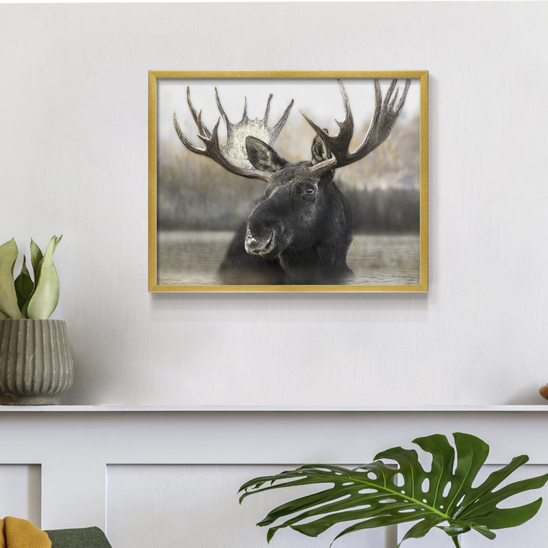 Moose Spa - reproduction encadrée - réarmable, H 16 po x l 20 po