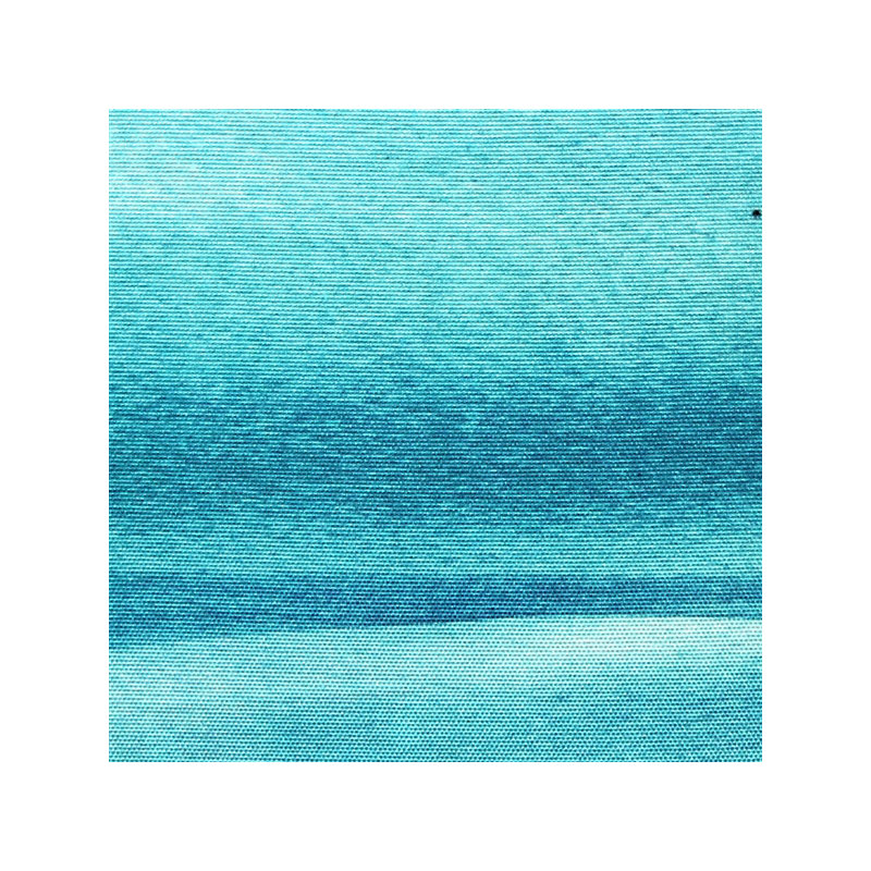 Coussin décoratif 