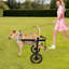 Fauteuil roulant pour chien