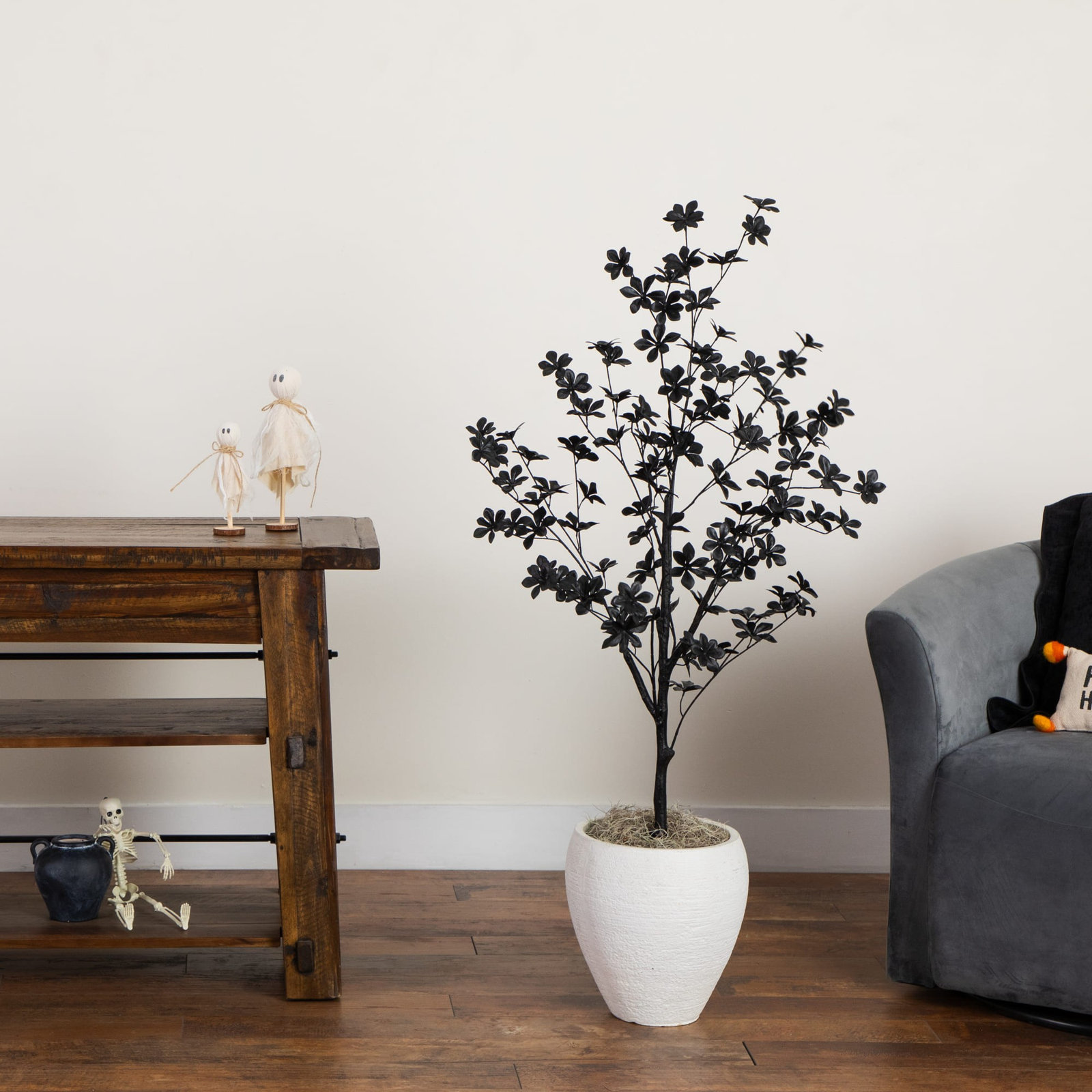 48" Enkianthus Tree in Nursery Pot