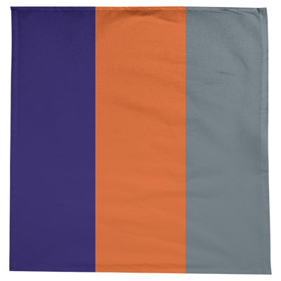 Denver Basketball Tablecloth