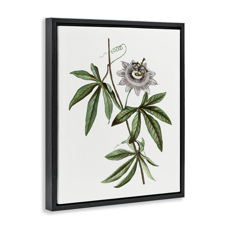 Cadre flottant rétro Vintage, par CAD Designs, H 31 po x l 25 po, Cadre flottant noir de jais
