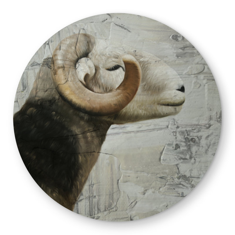 Aries Rustic Animals Round Outdoor Area Rug for Home Decor