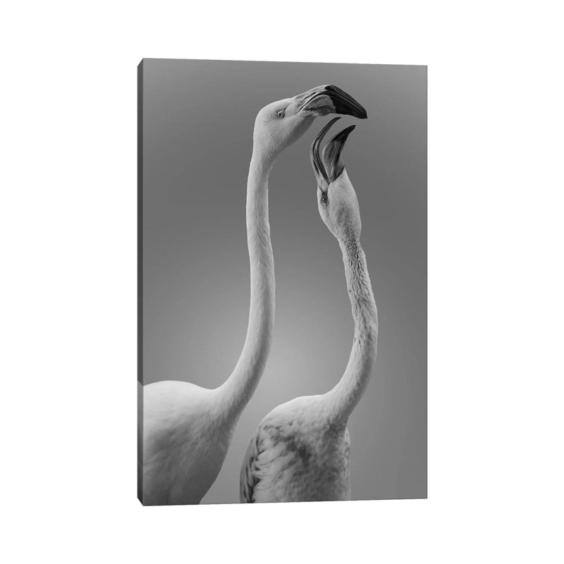 Kiss Of Life by KrysTom - Wrapped Canvas Print, 20.32 cm H x 30.48 cm W