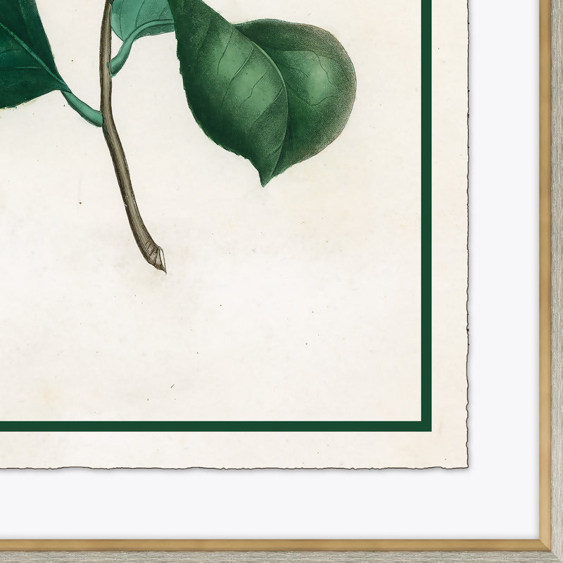 Flora I Giclee Print