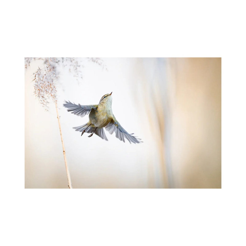 Ethereal by Mateusz Piesiak - Wrapped Canvas Print