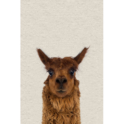 Staring Llama II - Drawing on Canvas