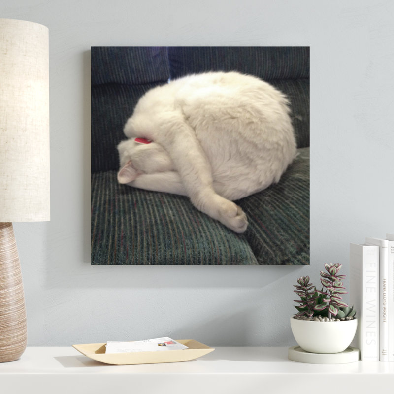 " Cat Yoga I " by R. NOB, 20" H x 20" W