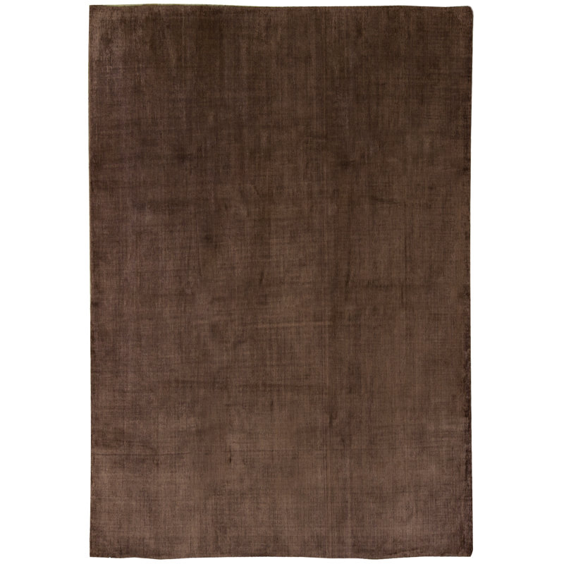 Area Rug in Brown