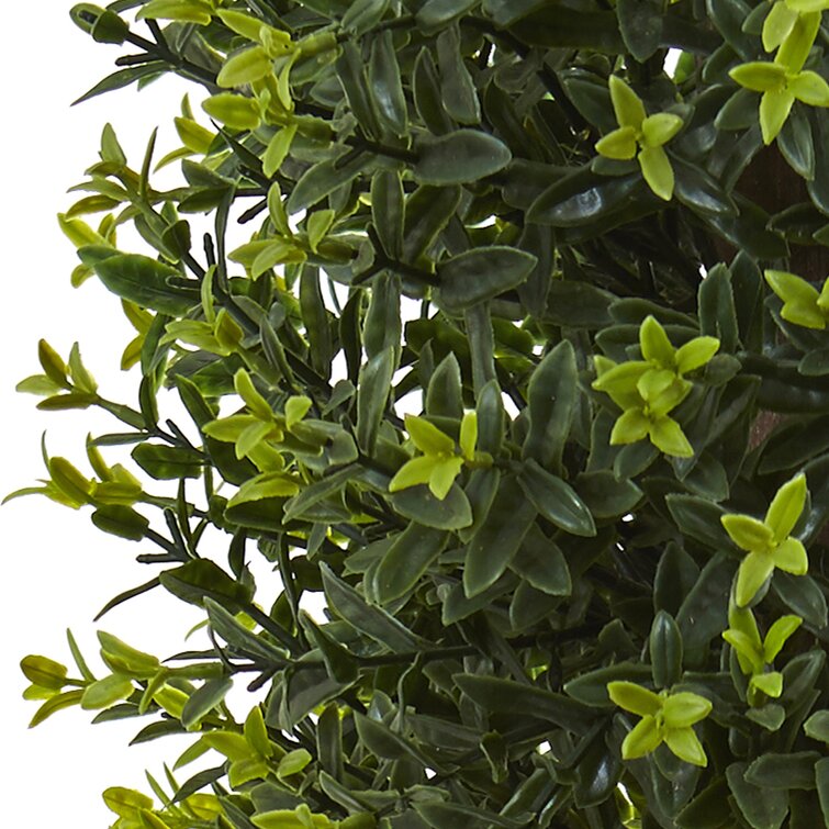 Primrue 40'' Faux Moss Topiary in Planter
