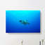 Swimming Turtle - Wrapped Canvas-55358473