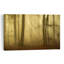 Golden Misty Forest Dreamy Ethereal Mystical Autumn Forest Wall Art Print 1 Piece Wrapped Canvas Wall Art-1260451356