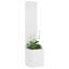 Planter Box-1488581409-1488581411